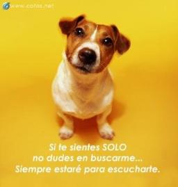GMJUAN